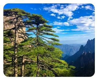 黃山市辦理POS機 黃山市辦理POS機